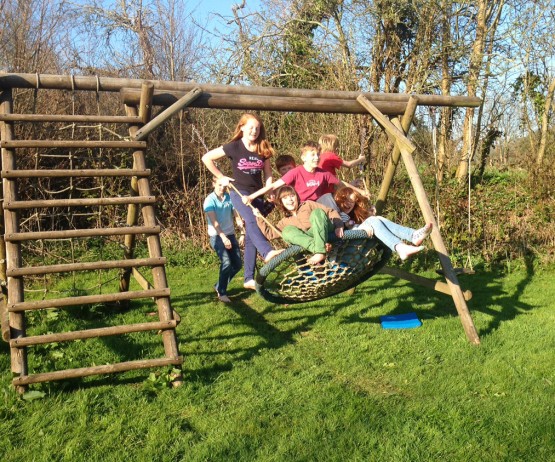 Family Basket Swing with Ladder and Net Extension