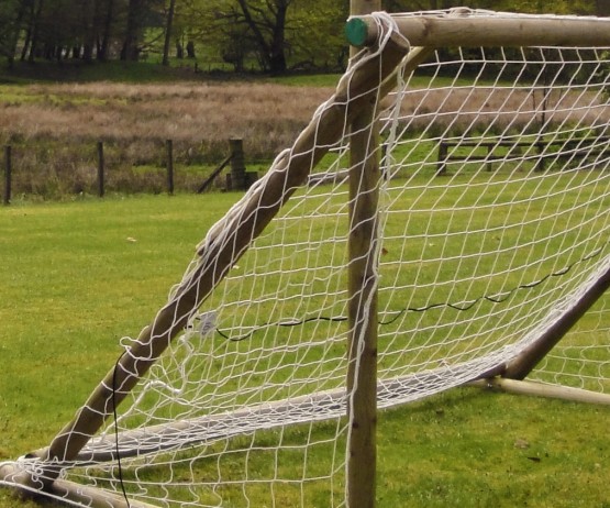 Goal Post Net