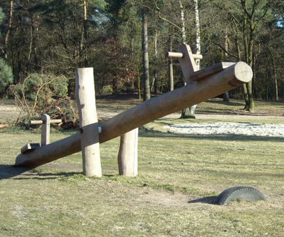 Robinia Seesaw for the playground