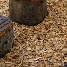 Woodchip and Bark for schools