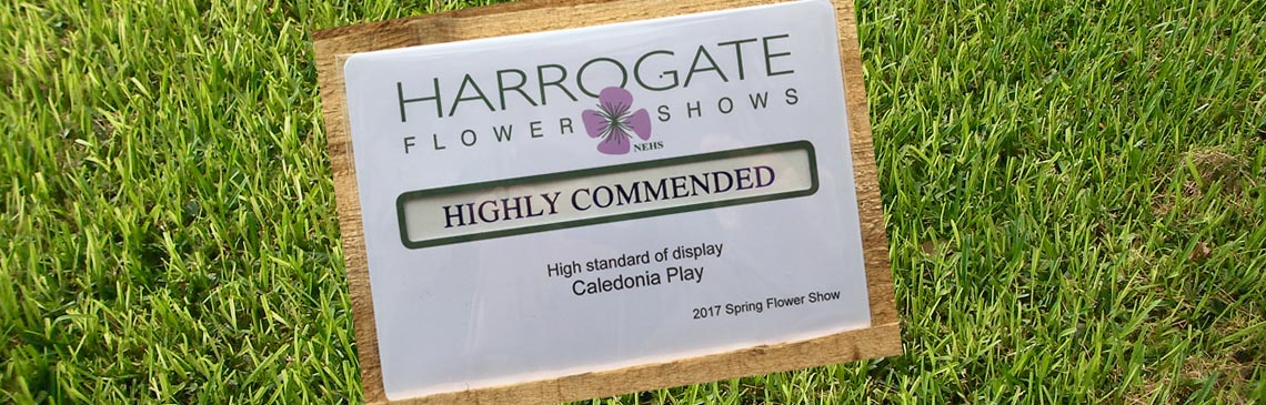 What's Happening Harrogate Flower Show