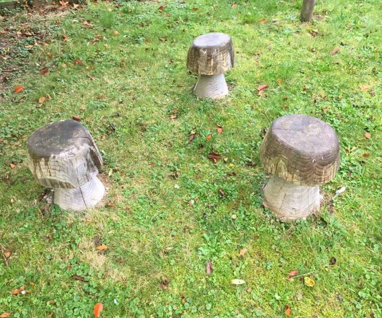 Mushroom Stools and Table Set for schools