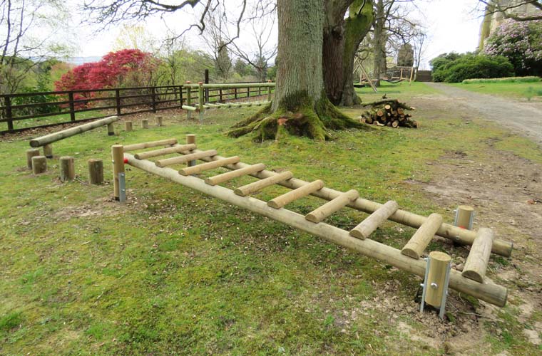 Horizontal rising ladder as part of an agility trail