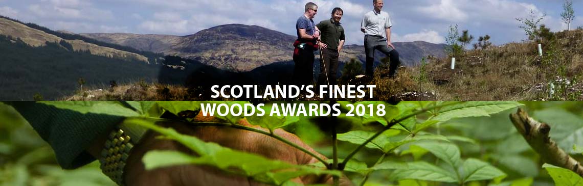 news item SFWA 2018 banner image
Scotland's Finest Woods Awards - still time to enter.