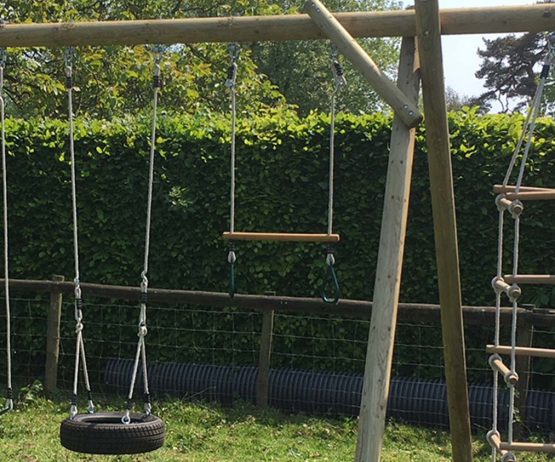garden play trapeze bar and rings