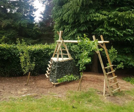 Pyramid Monkey Frame garden play