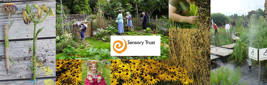 News banner image sensory trust The Sensory Trust