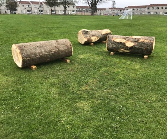 Naturally occurring logs