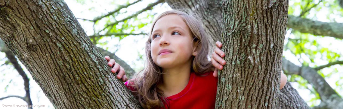 News should children climb trees banner image